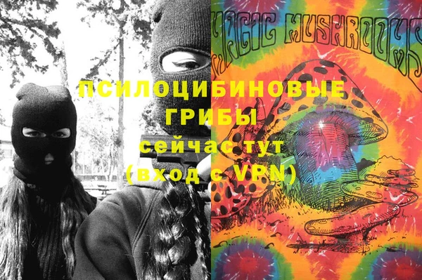 не бодяженный Алексин