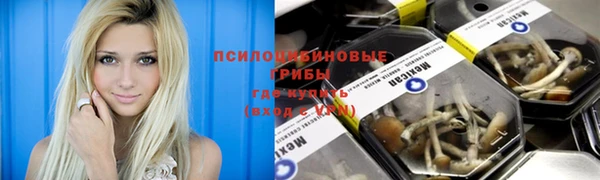 гидра Абаза