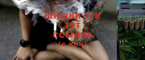 прущие грибы Алзамай
