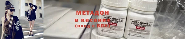 прущие грибы Алзамай