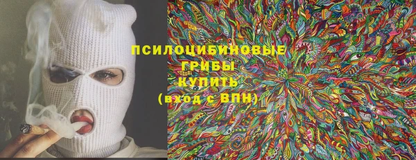не бодяженный Алексин